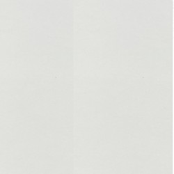 2073-FINITION-BARDAGE-BOIS-PINS-DES-LANDES